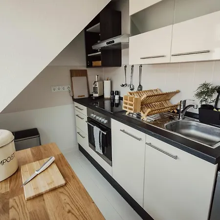 Oase Mitten In Apartment Leipzig